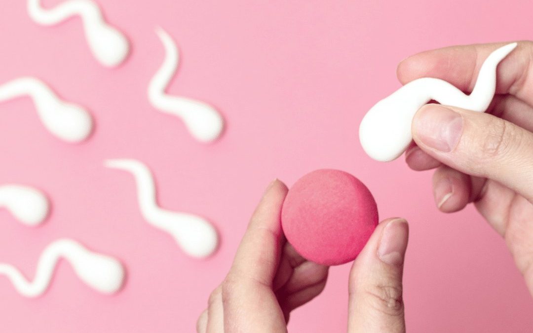 Inseminação Artificial Caseira: O que a legislação diz sobre?